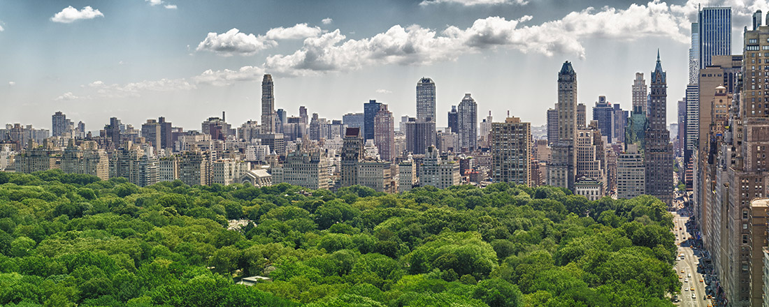 Photo: Central Park